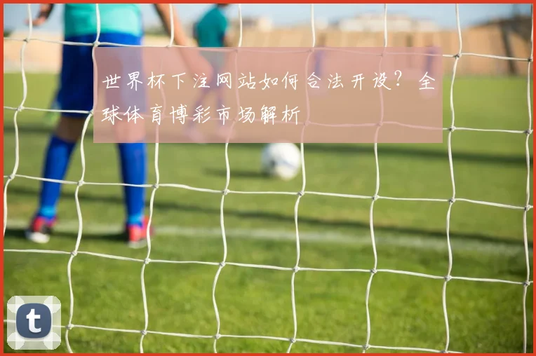 世界杯下注网站如何合法开设？全球体育博彩市场解析