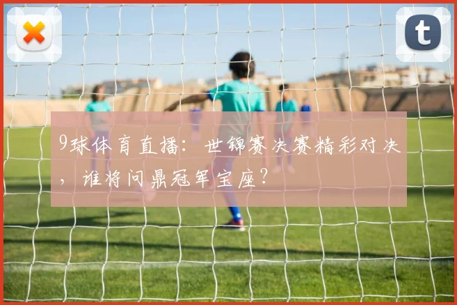 9球体育直播：世锦赛决赛精彩对决，谁将问鼎冠军宝座？