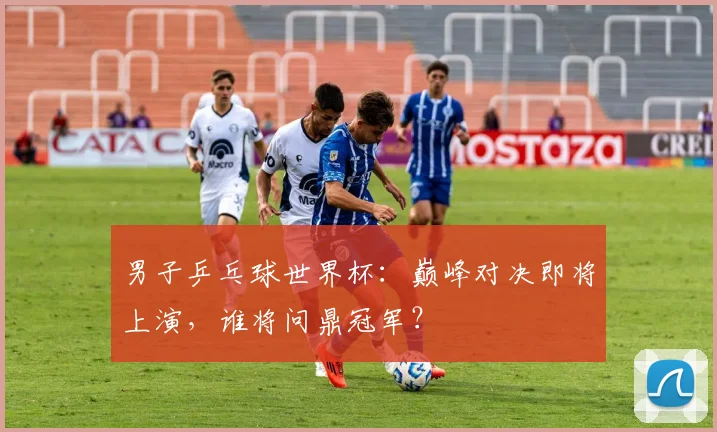 男子乒乓球世界杯：巅峰对决即将上演，谁将问鼎冠军？