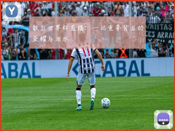 散打世界杯直播:一记重拳背后的荣耀与泪水
