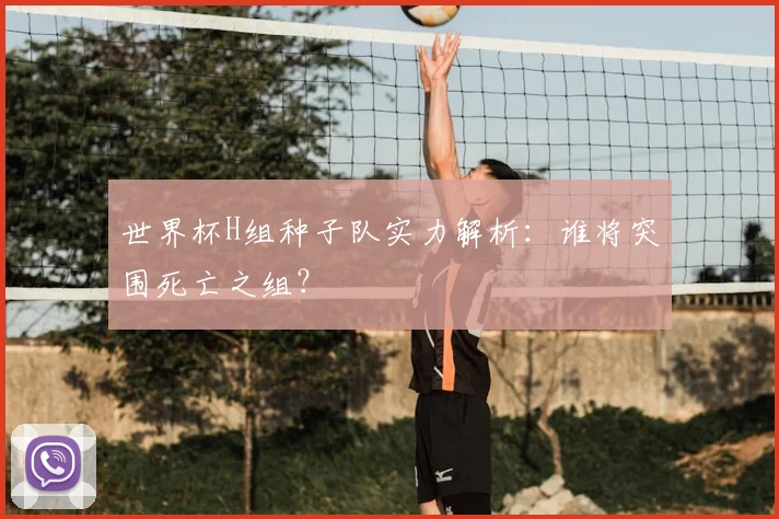 世界杯H组种子队实力解析:谁将突围死亡之组?