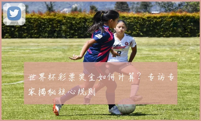 世界杯彩票奖金如何计算？专访专家揭秘核心规则