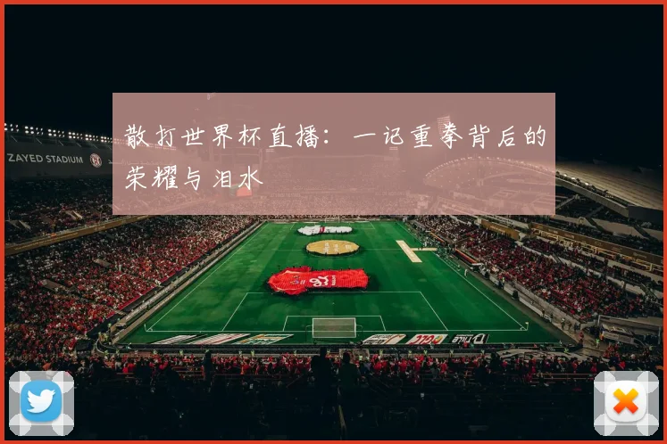 散打世界杯直播：一记重拳背后的荣耀与泪水