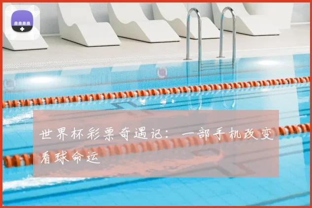 世界杯彩票奇遇记：一部手机改变看球命运