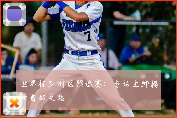 世界杯亚洲区预选赛：专访主帅揭秘晋级之路