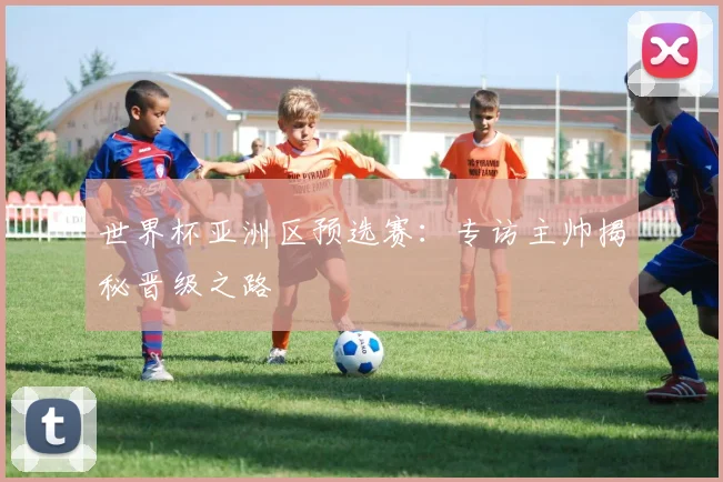 世界杯亚洲区预选赛：专访主帅揭秘晋级之路